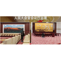 人民大会堂会议厅除甲醛 