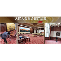 人民大会堂会议厅甲醛治理 