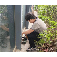 常州灭鼠告诉你粘鼠板老鼠不上怎么办