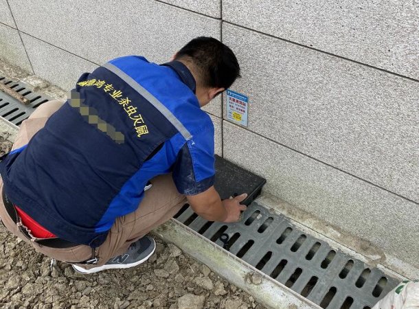 常州灭蟑螂公司 