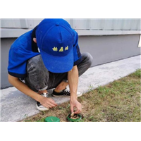 常州灭鼠公司 
