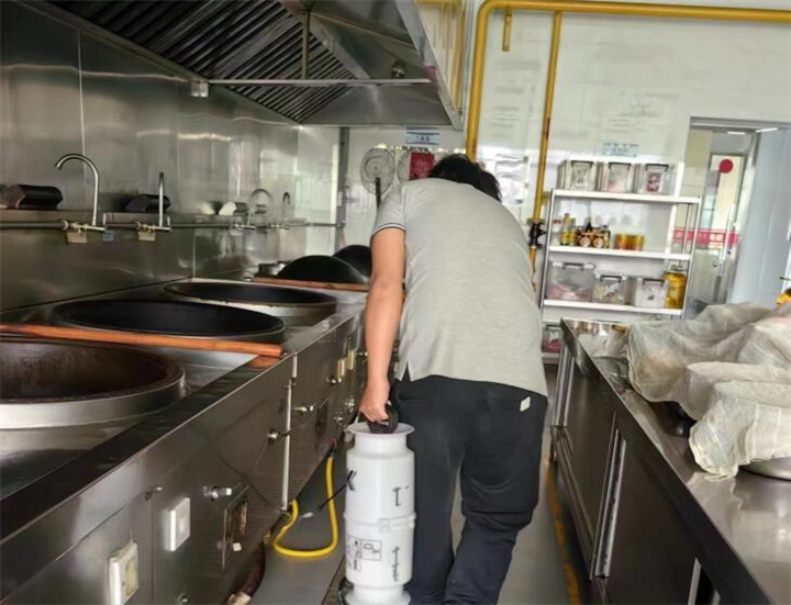 常州灭蟑螂公司告诉你蟑螂是怎么长大的