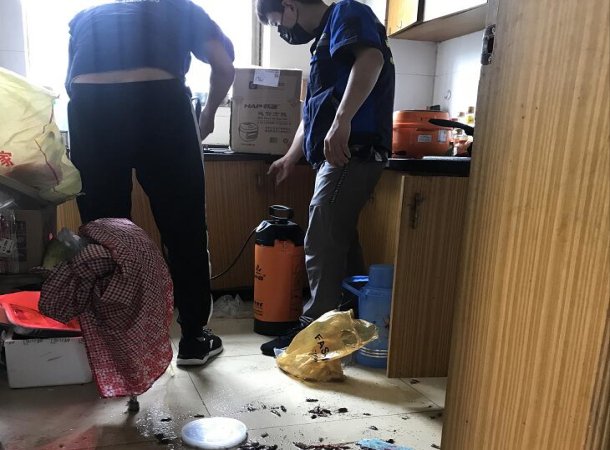 常州专业灭鼠