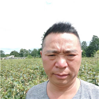 贵阳猕猴桃苗