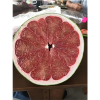 泰国红宝石青柚