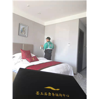 和田墨玉县县委**校甲醛治理