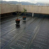 株洲房顶漏水怎么办