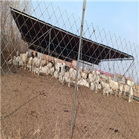 生态河滩园值得信赖