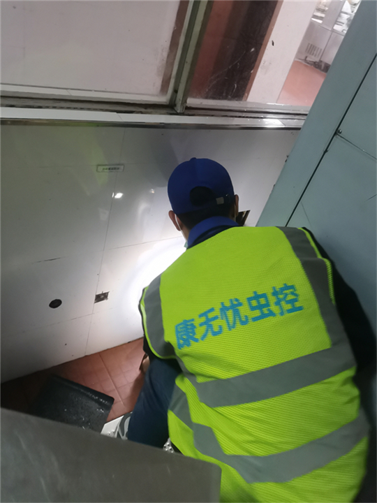 南昌公园杀蟑螂服务咨询电话多少