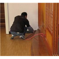 南昌写字楼杀白蚁杀蟑螂杀鼠服务电话是多少