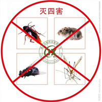 西安灭四害威克洁西安灭鼠陕西灭蟑螂