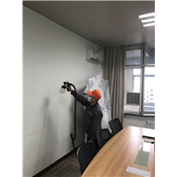 鄂尔多斯除甲醛吊兰真的是植物吸甲醛** 