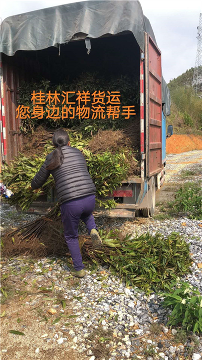 桂林到沈阳整车运输