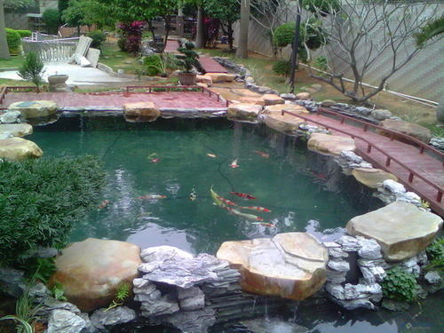 贵阳鱼池设计