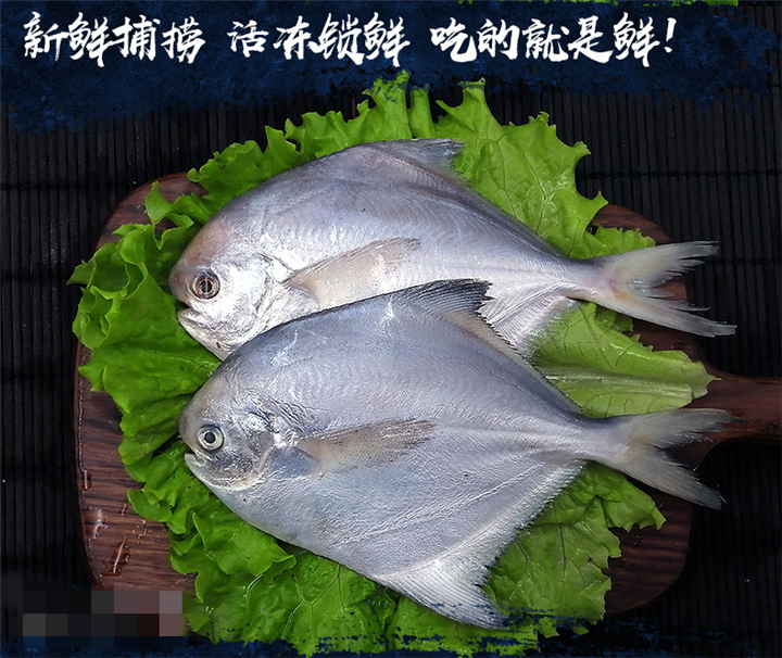 野生鲳鱼新鲜冷冻海鱼 