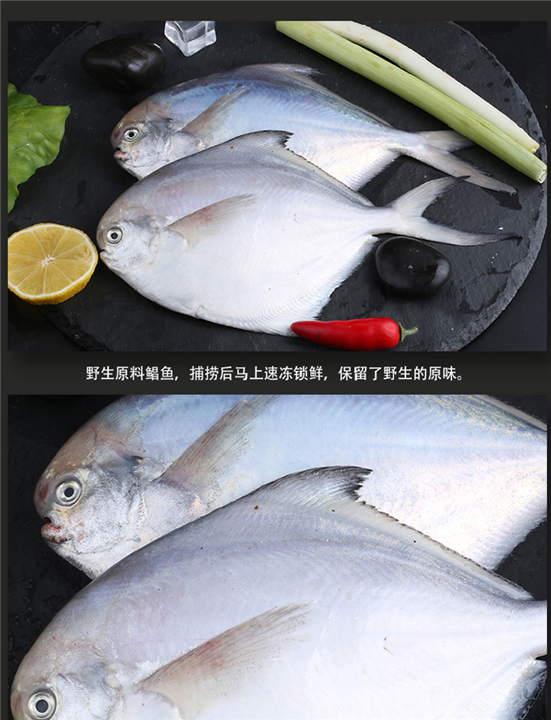 泉州海产品批发 