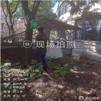绍兴杀虫公司防范措施
