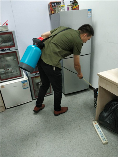 绍兴灭蟑螂