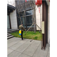 绍兴灭蚊蝇