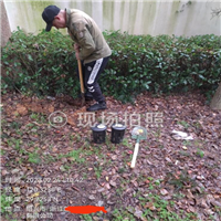 绍兴如何除白蚁