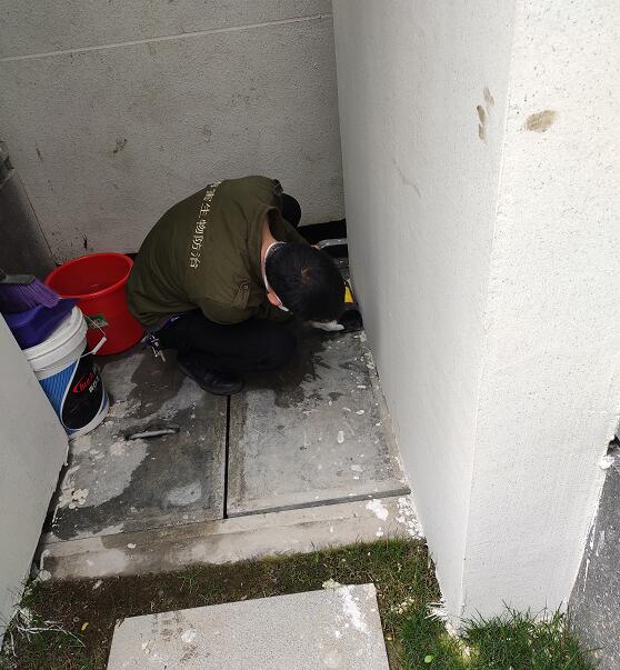 诸暨灭鼠除虫公司