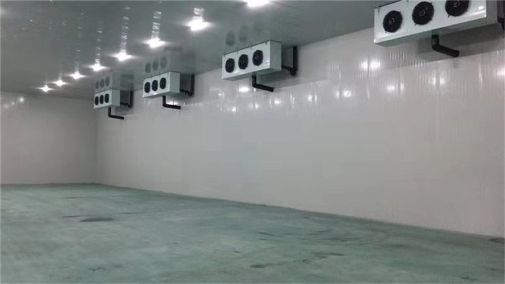 大湾区冷链配送公司 