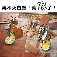 常德灭白蚁