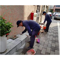 舟山工厂酒店灭鼠电话