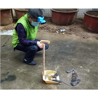 舟山商场超市灭鼠杀虫