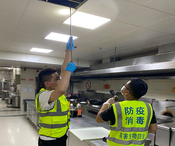 舟山杀虫公司