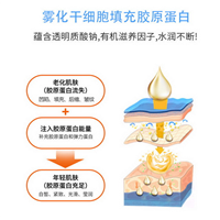 暨大干细胞代理加盟