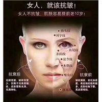 暨大干细胞代理加盟