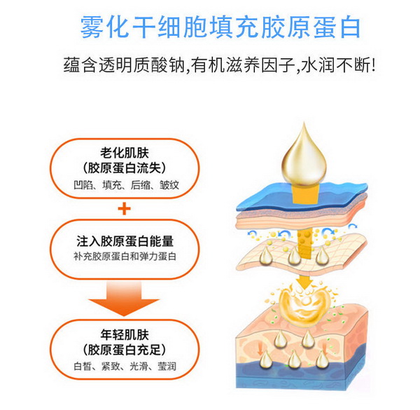 暨大干细胞代理加盟