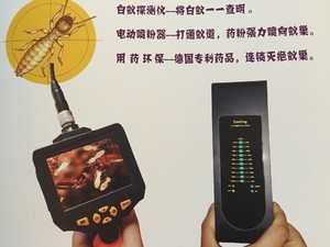 资阳白蚁防治