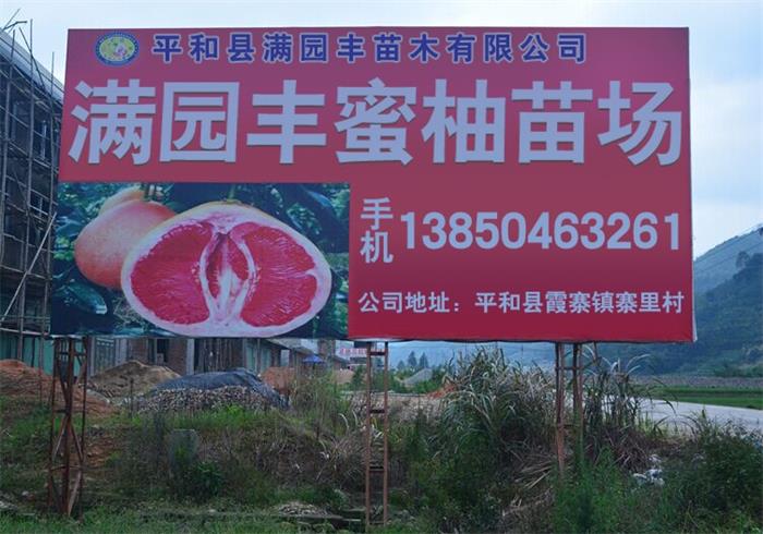 平和满园丰 