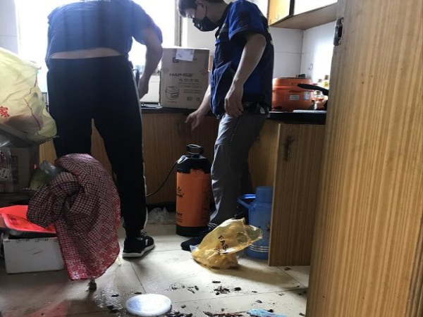 福州灭蟑螂公司 