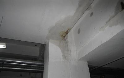 墙面防水