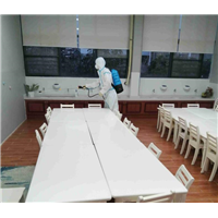 下城区杀虫公司