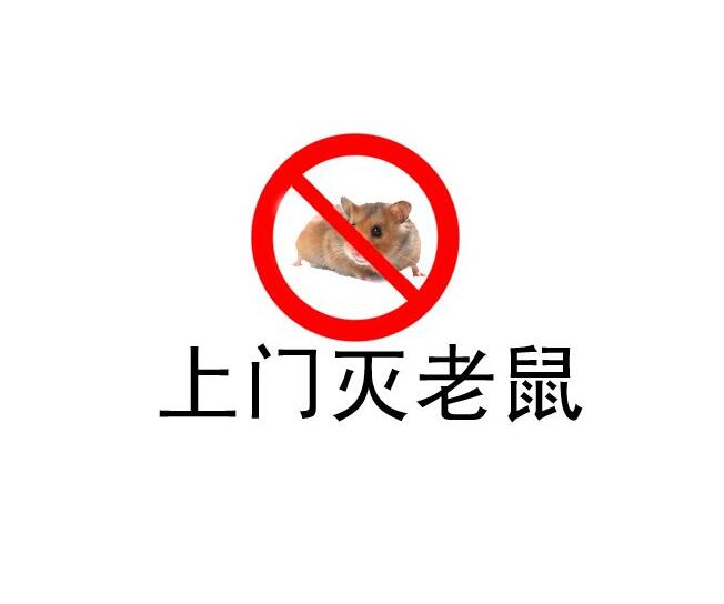 西湖区杀虫公司
