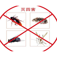 东阳杀虫公司教你有蟑螂怎么办