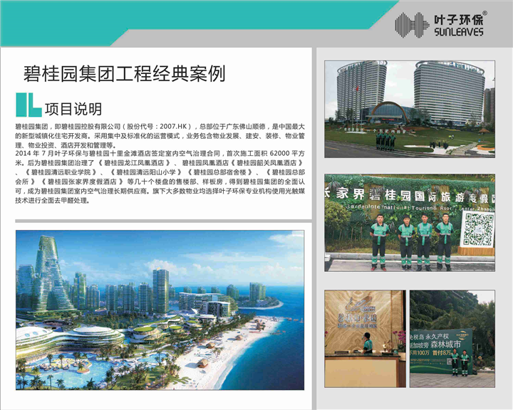 碧桂园 
