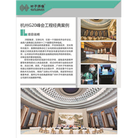 G20峰会