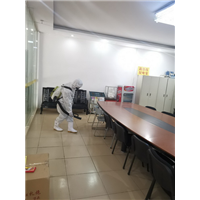 佛山灭白蚁
