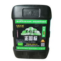 黑豹王涂料 