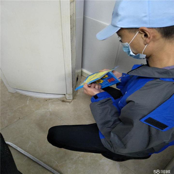 南京灭鼠公司
