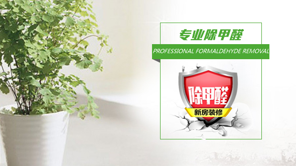 南京专业除甲醛 