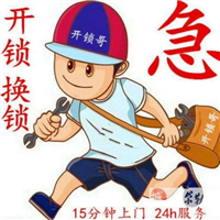 林州配汽车遥控器
