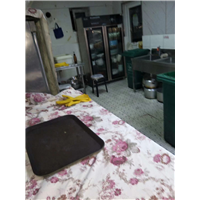 包头灭白蚁