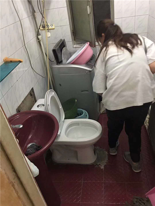 包头灭白蚁