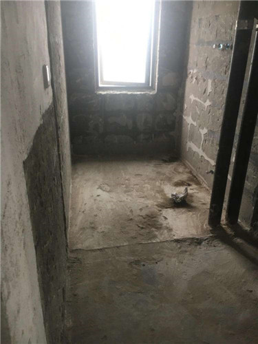 株洲铲白灰公司 